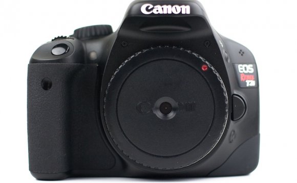 Extra photos for bloggers: