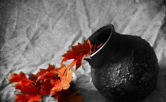 Still-life-photography-black