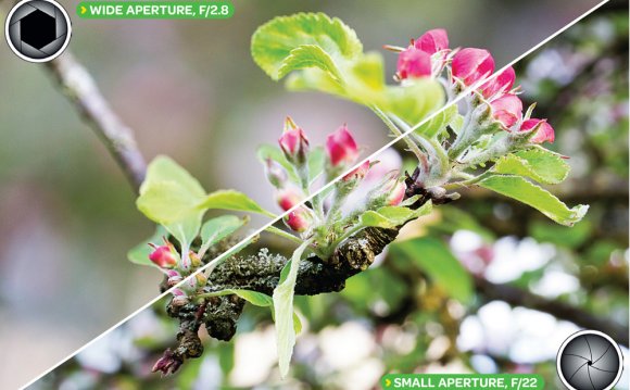 What is Depth of Field?