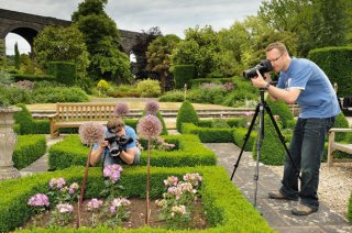 25 flower photography tips for beginners