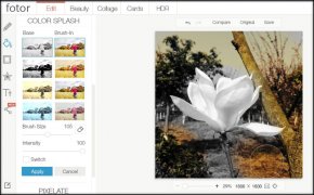 Adding color to a spring photo