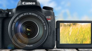 Best Digital Cameras