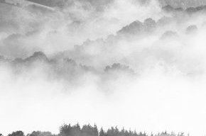 Black and white photography: tone Black and white photography: tone