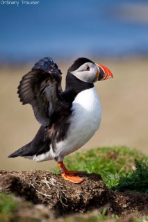 How to Choose the Best Camera for Travel How to Choose the Best Camera for Travel Photography