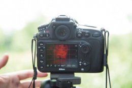 How to shoot infrared photography with a filter: step 2