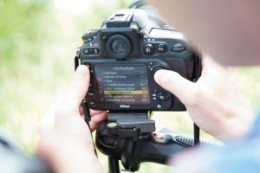 How to shoot infrared photography with a filter: step 3