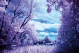How to shoot infrared photography with a filter: step 4