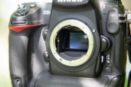 How to shoot infrared photography with a converted DSLR: step 1