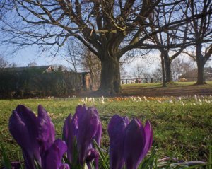 How to shoot perfect digital pinhole photography: focus free