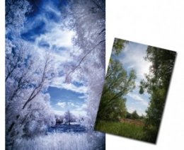 Inrared photography tutorial: how to capture striking images beyond the visible colour spectrum