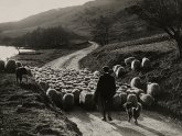 History of Photography National Geographic