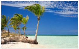 tips for taking pictures tips for taking pictures digital photography success 2