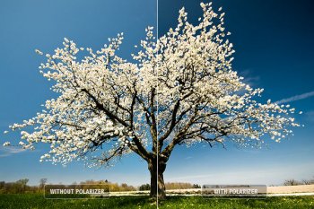 top-ten-digital-photography-tips4