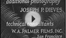 Ansel Adams, Photographer (1958) narrated by Beaumont Newhall