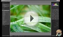 Digital Photography Lightroom Editing Tips
