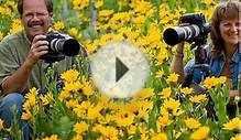 Nature Photography Tips, Tricks And Techniques For Taking