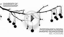 Photography and Digital Imaging Technologies (BSc Honours)